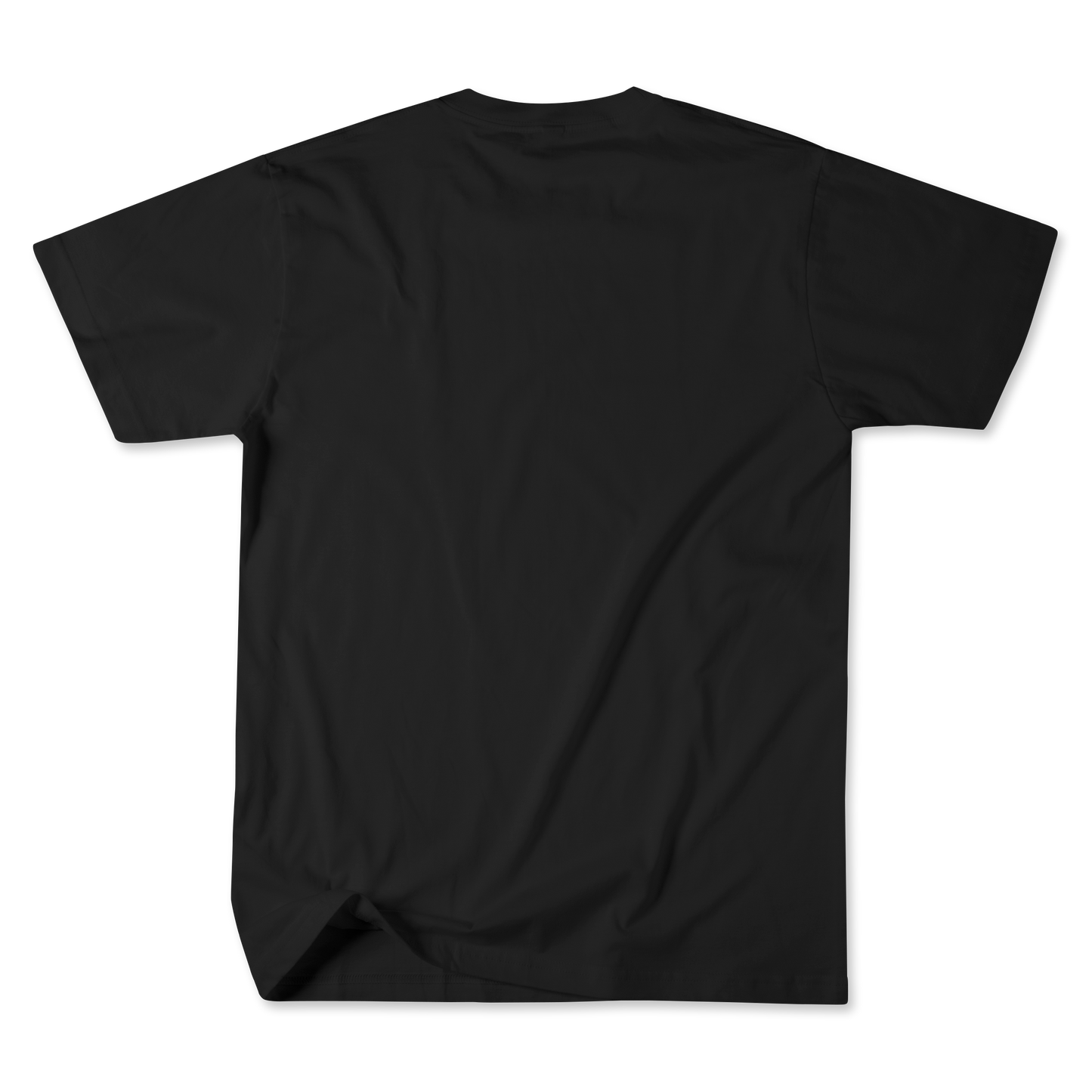 Blank t shirt Customizable